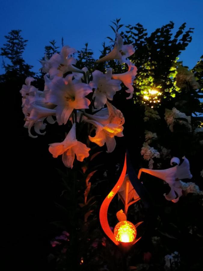 Ferienwohnungen Thalmeier Sankt Gilgen Bagian luar foto